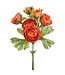 13 Inch Ranunculus Bundle