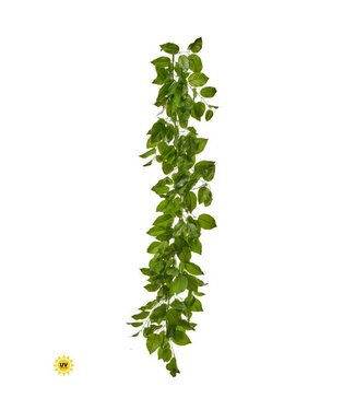 Uv Treat PE Salal Leaf Garland 60”