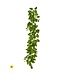 Uv Treat PE Salal Leaf Garland 60”