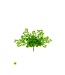 Uv Maidenhair Fern 17”