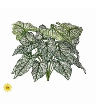 18” PU UV Treated Calladium Bush