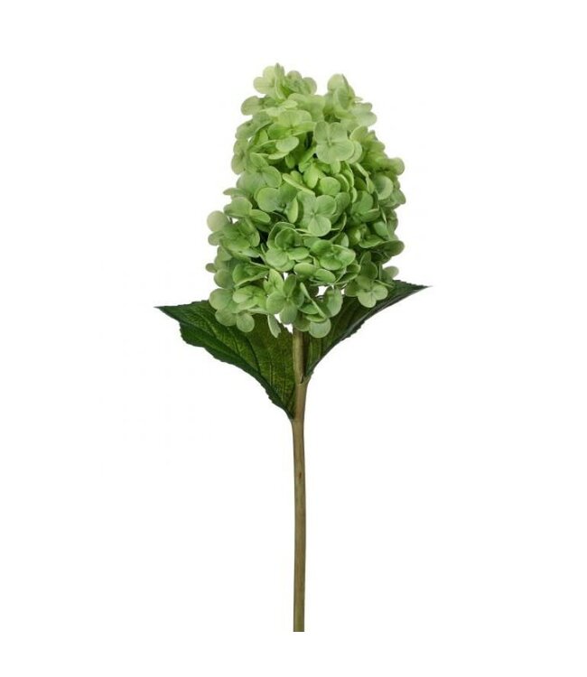 29" Soft Touch Garden Cone Hydrangea Stem