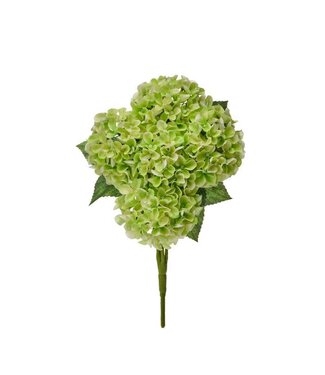 17” Mini Spring Hydrangea Bush X5