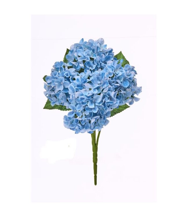 17” Mini Spring Hydrangea Bush X5