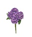 17” Mini Spring Hydrangea Bush X5