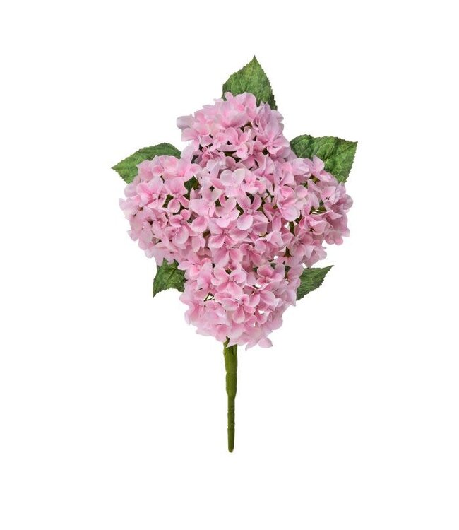 17” Mini Spring Hydrangea Bush X5