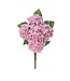17” Mini Spring Hydrangea Bush X5