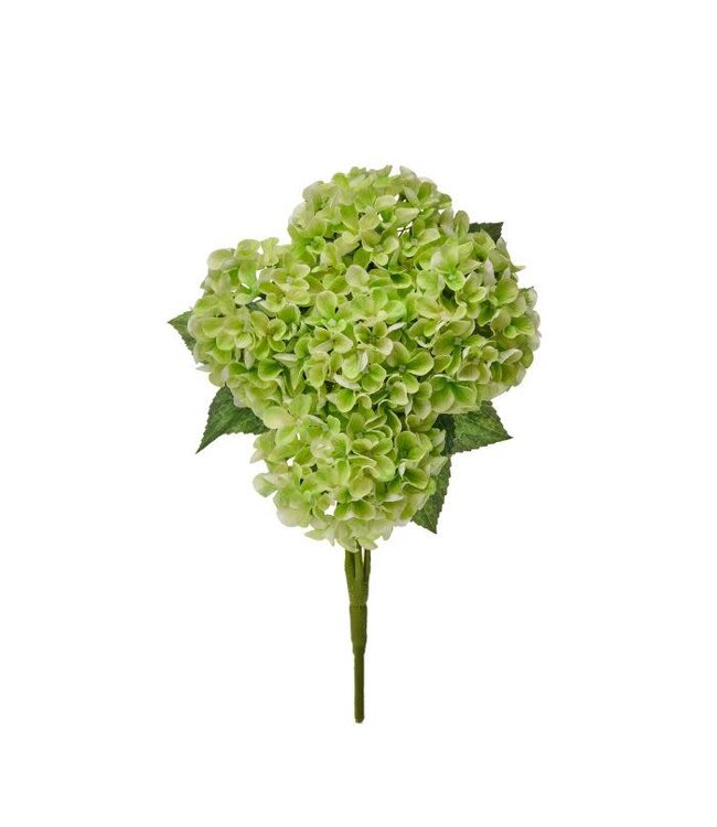 17” Mini Spring Hydrangea Bush X5
