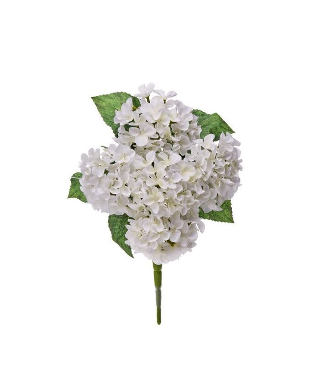 17” Mini Spring Hydrangea Bush X5