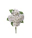 17” Mini Spring Hydrangea Bush X5