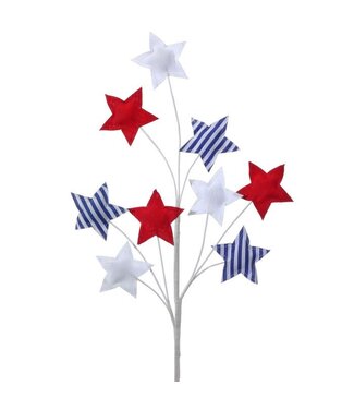 24” Americana Star Spray X