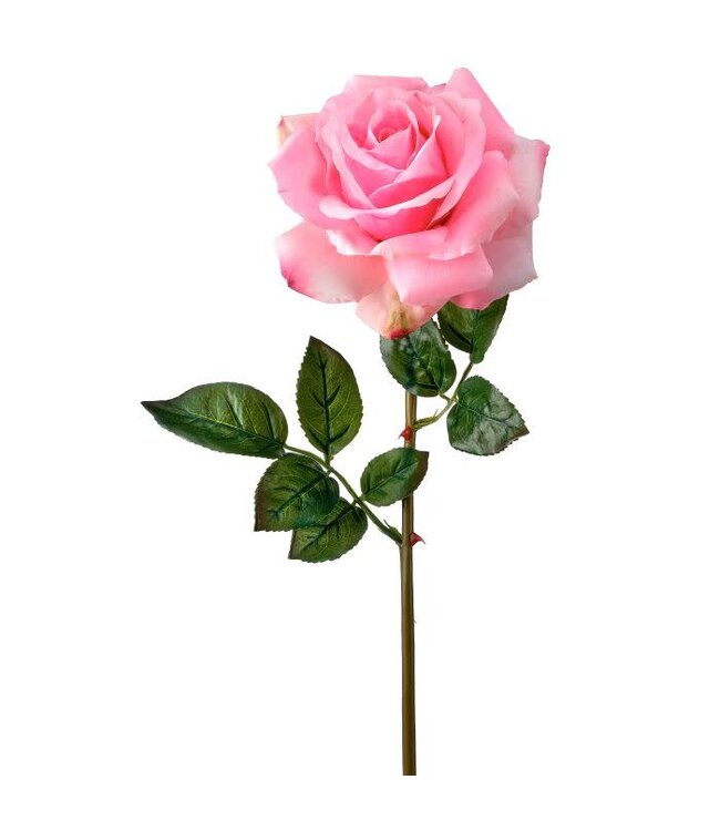 Just Cut Open Garden Rose 27”