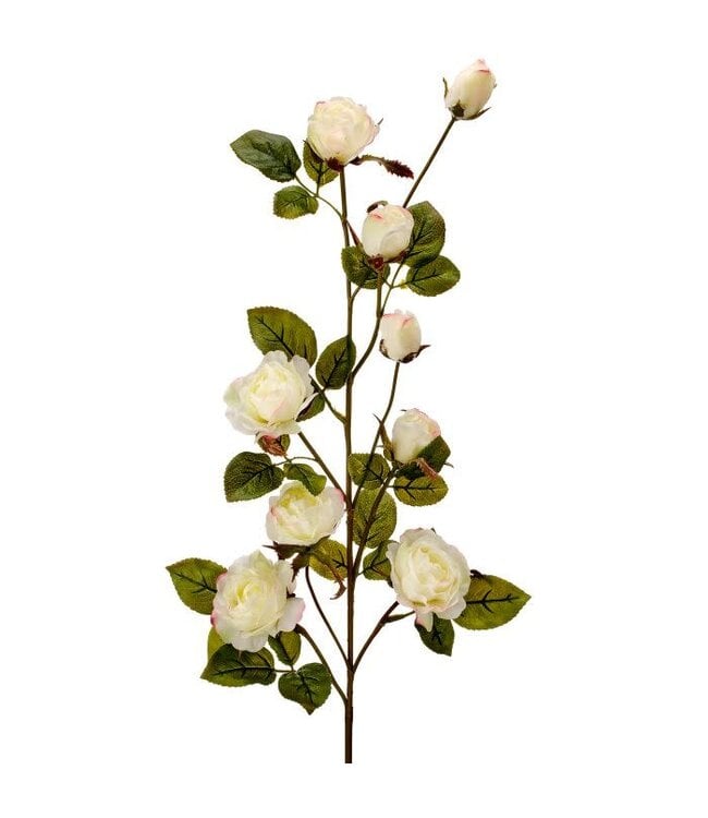 Just Cut Garden Rose Branch 37”