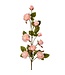 Just Cut Garden Rose Branch 37”