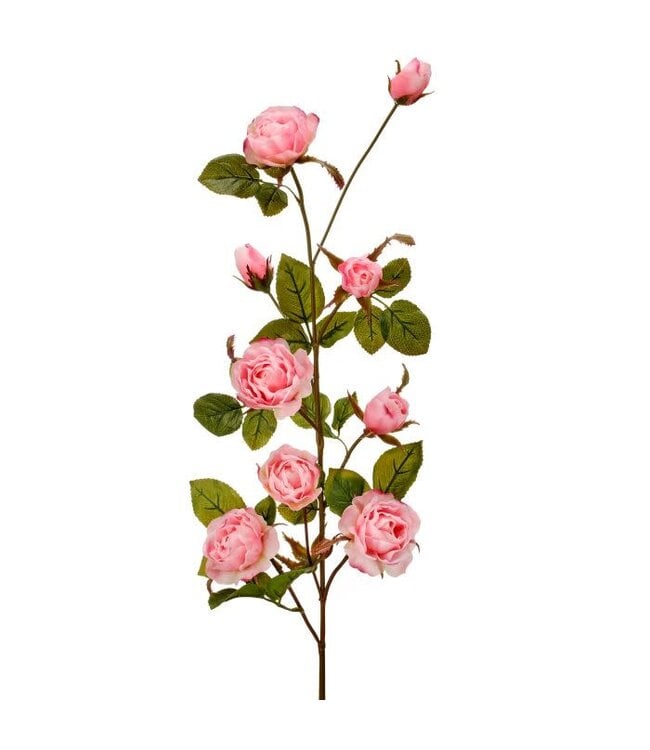 Just Cut Garden Rose Branch 37”