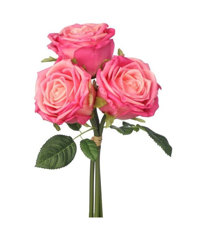 Nat Touch Rose Bundle X3 11.5”