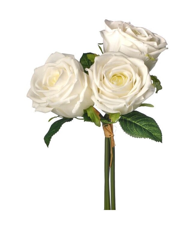 Nat Touch Rose Bundle X3 11.5”