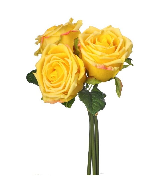 Nat Touch Rose Bundle X3 11.5”