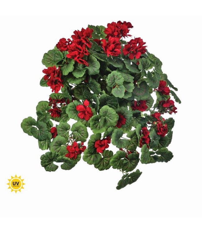 27” Uv Hanging Geranium Plant