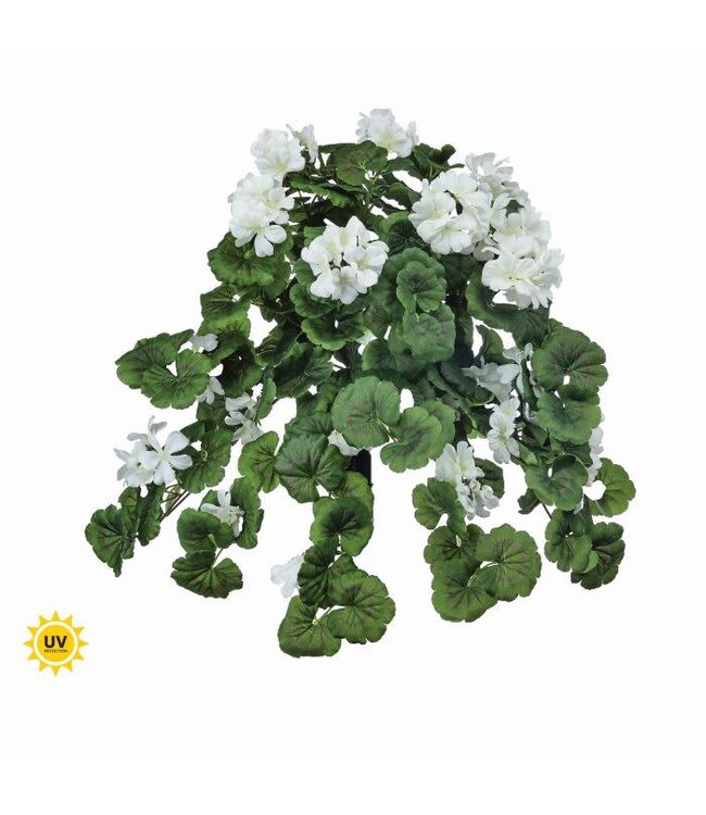 27” Uv Hanging Geranium Plant