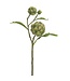 26" Artichoke Spray