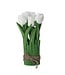 9” Eva Tulip Centerpiece With Leaves X7