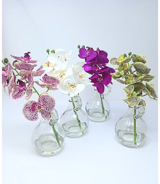 9" Phaleanopsis in Glass with Handle - Sold Individually