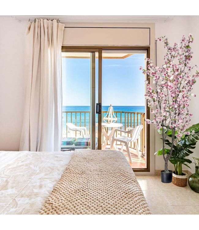 Potted Cherry Blossom Tree