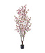 Potted Cherry Blossom Tree