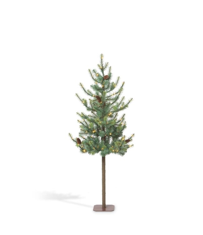 Blue Spruce Alpine Tree