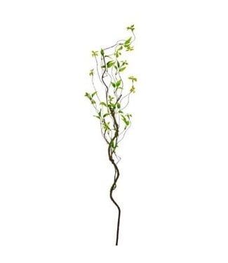 48" Wild Smilax Vine