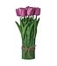 12” Eva Tulip Centerpiece With Leaves X12