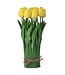 12” Eva Tulip Centerpiece With Leaves
