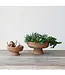 Decorative Hand-Woven Rattan Footed Bowls, Natural - Sold Individually