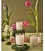 AROMATIQUE The Smell of Spring - Votive Glass Candle