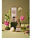 AROMATIQUE The Smell of Spring® - Reed Diffuser Set