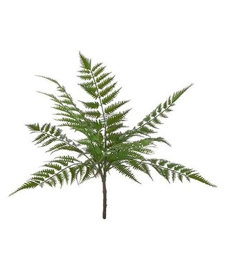 18" Fern Bush