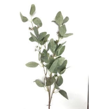 EUCALYPTUS SEEDED SPRAY 45"