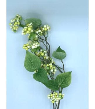 30 IN Berry Spray Green