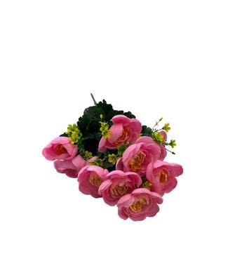 Ranuculus Bush X12 Pink 1/8DZ
