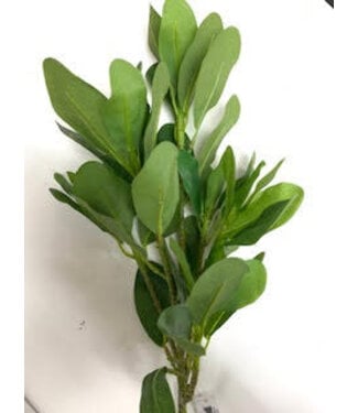 BIRCH LVS GN SPRAY 30IN -GREEN