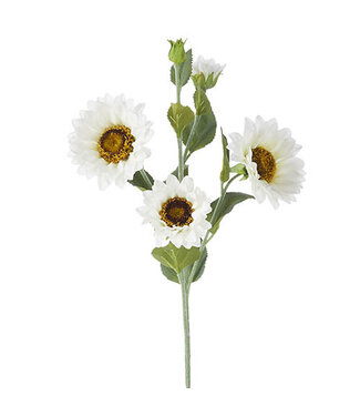 25.5" White Sunflower Spray