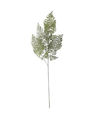 36 Inch Real Touch Royal Fern Stem