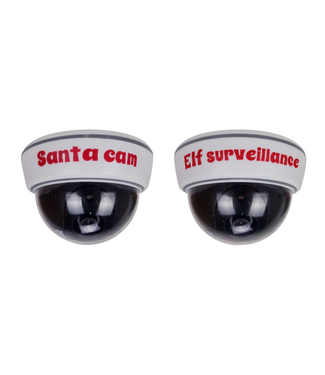 Surveillance Cam