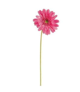 21.5" Medium Gerbera Daisy Spray