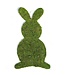 Moss Bunny Decor Green
