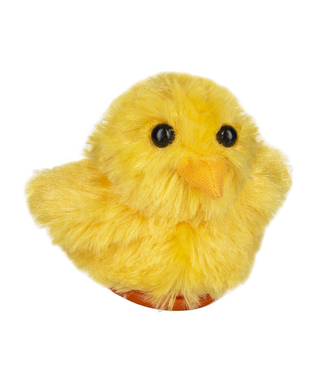 Sweet Chirping Chick