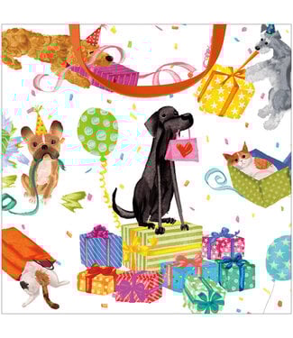Birthday Pets Small Square Gift Bag