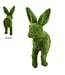 18.5 Inch Furry Moss Covered Bunny Wall Decor Green