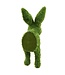 18.5 Inch Furry Moss Covered Bunny Wall Decor Green